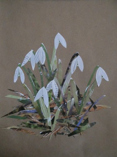 Angela, Snowdrops, collage.